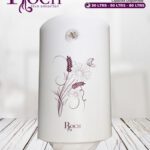 CHAUFFE EAU ROCH 80LITRES