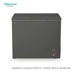 CONGELATEUR HISENSE HORIZONTAL 340LITRES INVERTER GRIS FC340DD