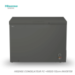 CONGELATEUR HISENSE HORIZONTAL INVERTER GRIS FC410DD