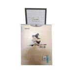 CONGELATEUR SNOWSEA HORIZONTAL 190LITRES GOLD BD-158G