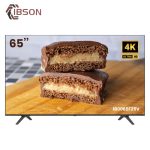 TELEVISEUR IBSON 65 » SMART + 2 TELECOMMANDES + VOICE CONTROLE IB0065F25V